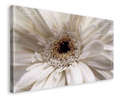 White Flower - obraz na płótnie