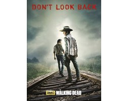 The Walking Dead Dont Look Back - plakat