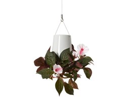 Boskke Sky Planter wisząca doniczka Ceramiczna Mini Biała