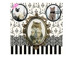 Serwetki deserowe 20 szt. 33cm Nuova R2S Napkins koty kod: 414 CATS