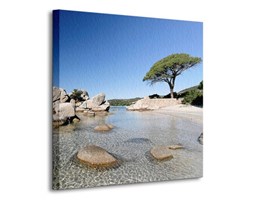 Porto-Vecchio - Obraz na płótnie