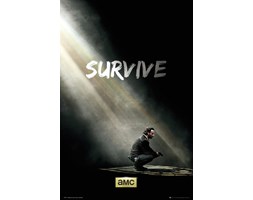 The Walking Dead Survive - plakat