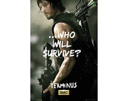 The Walking Dead Daryl Survive - plakat