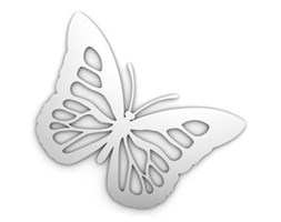 motyl