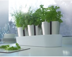 Auerhahn - Zestaw 3-ech doniczek HERBS na zioła