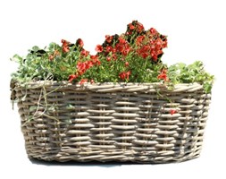 KOSZYK - DONICZKA ŚREDNIA