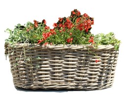 KOSZYK - DONICZKA DUŻA