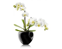 Eva Solo ORCHID Doniczka Samopodlewająca do Kwiatów - Czarna