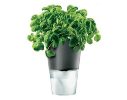 Eva Solo LIVING Doniczka Samopodlewająca 11 cm - Szara