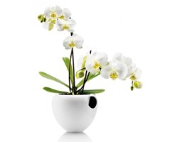 Eva Solo ORCHID Doniczka Samopodlewająca do Kwiatów - Biała