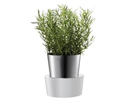 Doniczka na zioła Herbs Auerhahn