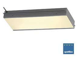 PL MODULE do AIXLIGHT PENDANT SYSTEM, srebrnoszary, 2x 2G11, max. 36W, ruchoma, 60° 154804