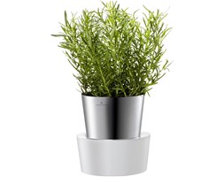Doniczka na zioła Auerhahn Herbs