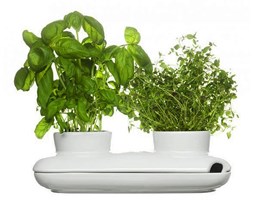 Podwójny wazon na zioła Sagaform Herbs & Spices