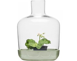 Sagaform HERBS SPICES Doniczka - Mini Szklarnia