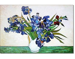 Irysy - Vincent van Gogh