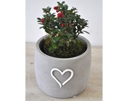 Flower pot Amour NAVSHBP