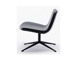 RAY SWIVEL BASE