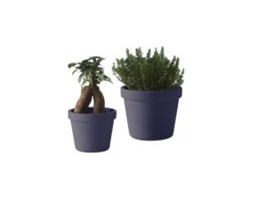 OUTSIDE IN FLOWERPOT MEDIUM