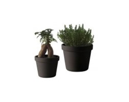 OUTSIDE IN FLOWERPOT SMALL