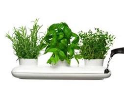 Potrójny wazon na zioła Herbs Spices Sagaform SF-5015274
