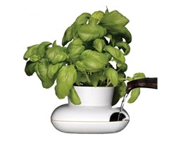 Wazon Hold na zioła Herbs Spices Sagaform SF-5007162