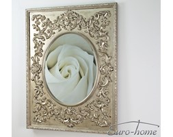 LUSTRO PU-284A 90x120cm COUNTRY SILVER