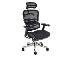 Grospol Ergohuman Plus