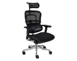Fotel Ergohuman Plus Elite BT KMD31