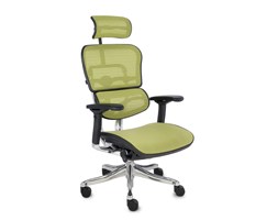 Fotel Ergohuman Plus Elite BT KMD34
