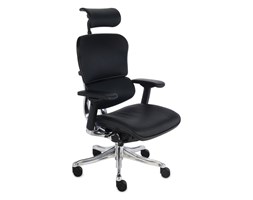 Fotel Ergohuman Plus LE01