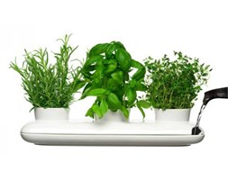 Sagaform HERBS Doniczka do Ziół z Systemem Łatwego Podlewania