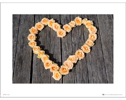 Heart Roses - art print