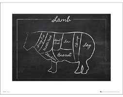 Lamb Chalk - art print
