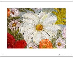Stokrotka Oil Painting - art print