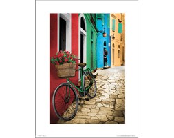 Bike Flowers - art print