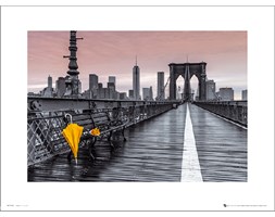 Assaf Frank Brooklyn Bridge Umbrella - art print