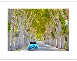 Tom Mackie 2 Cv - art print