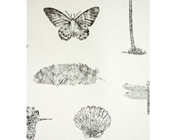 Tapeta Cocos Ivory Charcoal, Sanderson, Voyage of Discovery