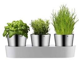Zestaw 3 doniczek na zioła Gourmet WMF