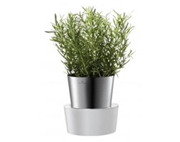 DONICZKA NA ZIOŁA HERBS, Auerhahn