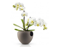 Doniczka na storczyki Eva Solo Orchid brązowa
