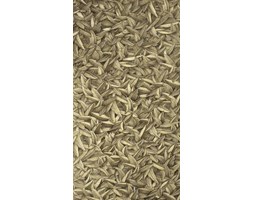 Tapeta Marburg Gloockler 52504