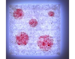 KINKIET LED RGB z KRYSZTAŁÓW SOLI 30x30 cm z PILOTEM SP80
