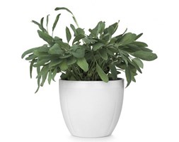 Rosendahl GRAND CRU Doniczka do Kwiatów/Ziół 14 cm - Biała