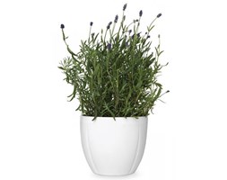 Rosendahl GRAND CRU Doniczka do Kwiatów/Ziół 16 cm - Biała