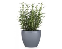 Rosendahl GRAND CRU Doniczka do Kwiatów/Ziół 16 cm - Szara