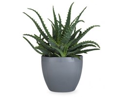 Rosendahl GRAND CRU Doniczka do Kwiatów/Ziół 14 cm - Szara