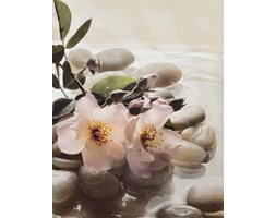 Dekoruj24.pl - reprodukcja na papierze Spa River I