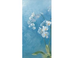 Dekoruj24.pl - obraz na płótnie Phalaenopsis Fontaine I